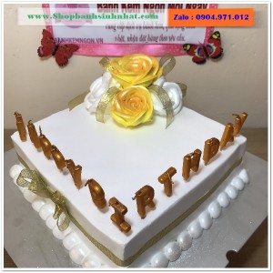 Bánh Sinh Nhật Sữa Tươi - AA456